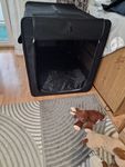 Hunde Klappbox