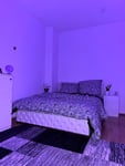 The RBG light doesn’t work in the bed. I bought new Bsterry for the remote but still not 