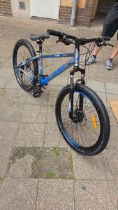 Mountainbike Davi Bonita 26 Zoll, 145–170 cm, 21 Gänge, Rosa/Weiß Kunden-Foto 1