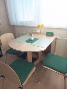 Blumtal sada 2 obliečok na vankúš 45x45 cm šenil - útulný vankúš na pohovku so skrytým zipsom, certifikát Oekotex, mäkký dekoračný vankúš, tmavohnedý Fotografia od zákazníka č. 1