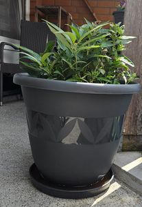 Plastard Blumentopf Capri Ø 47 cm Terrakotta mit Untersetzer - Pflanzkübel Kunden-Foto 2