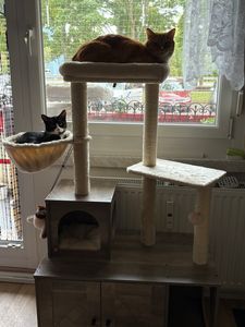 Yaheetech Kratzbaum mit Katzenschrank für Katzenklo 135 cm hoch, 2-in-1 Katzenbaum mit Katzentoilette, Greige-Beige Kunden-Foto 3