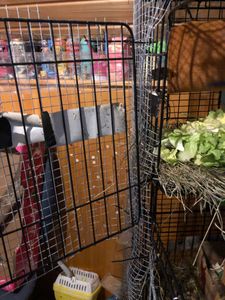 Nagervoliere BIG CAGE XXXL Nagerkäfig Käfig  Voliere Metall Nager Kleintierkäfig Kunden-Foto 2