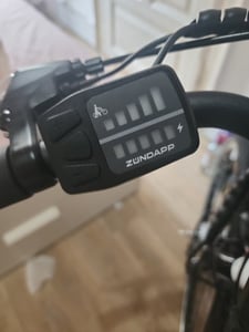 Zündapp Green 3.7 E Bike Damenfahrrad 26 Zoll Pedelec mit Nabenschaltung 7 Gang Kunden-Foto 2