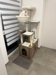 Feandrea Kratzbaum, Katzenklo-Schrank, erhöhte Fressnäpfe, mehrstöckiger Katzenbaum, Kratzstämmen greige meliert Kunden-Foto 2