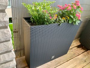 Länglicher, hoher Blumentopf RATO Case DRC600T | Anthrazit Kunden-Foto 5