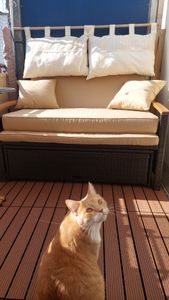 COSTWAY 3in1 Polyrattan Lounge Möbel Set, Gartenmöbel Doppelliege Gartensofa, Sofa 2 Sitzer mit Hocker, verstellbarer Rückenlehne & Stauraum, Grau Kunden-Foto 3