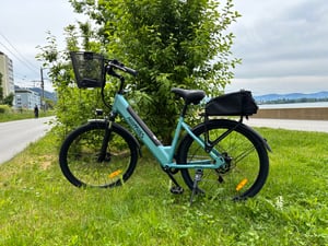 HillMiles E Bike, City E-Bike & E-Hollandrad mit 36V 13Ah Akku bis zu 80-100km, SHIMANO 7-Gang, 250W Motor&25km/h, MileCity1 Kunden-Foto 31
