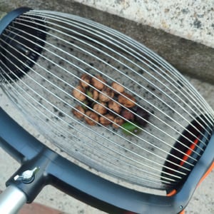 Rollsammler Nusssammler Ø34cm mit Aluminium Teleskopstiel,Pedalbetätigte Seitenöffnung, Ausziehbar 37–110 cm,Obstsammler für Walnüsse Eicheln Fallobst Kunden-Foto 1
