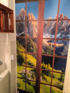 Türtapete Birkenwald Wald Gräser - 91x211 cm einteilig - Vlies Türposter inkl. Kleister Fototapete für Tür Wohnzimmer Küche Badezimmer Türaufkleber Türfolie UV-Beständig Montagefertig Kunden-Foto 1