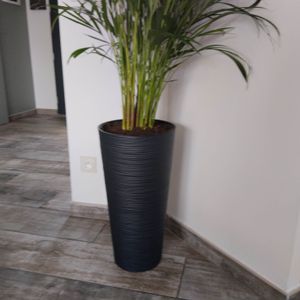 nabbi Fioriera in plastica DFRH300 30 cm - antracite Foto del cliente 1