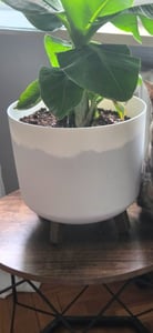 Prosperplast Pot de fleurs GRACIA TUBUS blanc 29,8 cm Photo du client 1