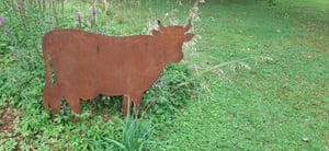 Gartenfigur Kuh 65x80cm Gartenstecker Edelrost Gartendeko Wetterfest Rost Metall Rostfigur Rind Stier Kalb Figur Tier Kunden-Foto 1