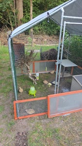 Kurník 2,5 x 2 x 2 m, kurník, klec pro drobná zvířata, výběh, výběh pro drobná zvířata, voliéra, venkovní výběh, klec pro slepice, drůbežárna, pozinkovaná ocel se střechou Fotografie od zákazníka č. 10