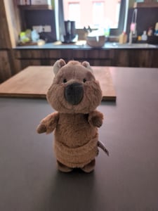 Nici Quokka-Mola braun stehend 22 cm Kunden-Foto 1
