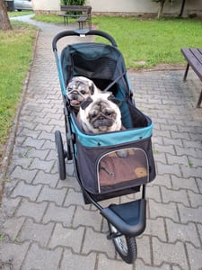 PawHut Hundebuggy mit Reflektoren, Faltbarer Katzenbuggy für Kleine Mittle Hunde Kunden-Foto 6