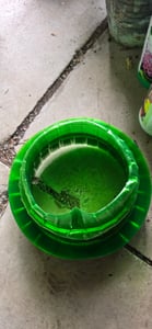 20 Stück Schneckenschutzring Set, Schneckenschutz Pflanzenkragen,  Gemüseschutzabdeckung für Ihre Salatpflanzen und Kohl Kunden-Foto 2