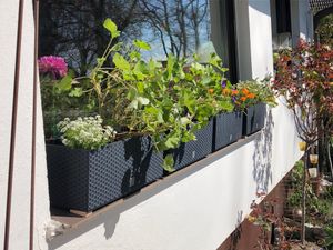 Balkonkasten Geländertopf mit Haken + Bewässerung Blumentopf RATO CASE 50cm Anthrazit Kunden-Foto 3
