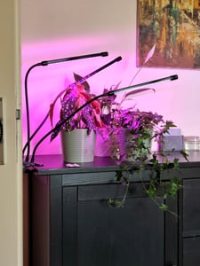 Lampa LED do roślin z 3 ramionami – pełne spektrum, 60 diod LED, timer 3/9/12 godzin, zasilanie USB, z pilotem Zdjęcie produktu od klienta nr 1