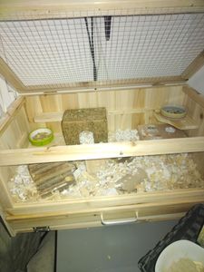 Mucola Cage en bois pour hamsters Cage pour souris Cage pour rats Enclos pour rongeurs WOW Photo du client 1