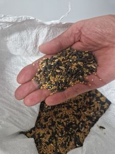 Streufutter | Vogelfutter wildvögel ganzjährig | Vogelfutter Wildvogelfutter 4 Jahreszeiten Premium Mischung | Streufutter für Wildvögel (10KG) Kunden-Foto 3