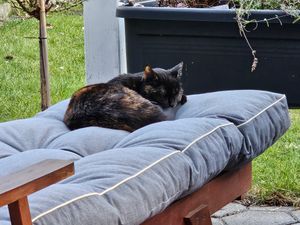 AMPO Gartenliege Liegenauflage Auflage Liege Kissen Sonnenliege Polsterkissen Kunden-Foto 3