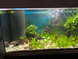 90cm Aquarium LED Beleuchtung Vollspektrum Lampe für 90-120cm Aquarium Aquarium Fisch Tank Fisch Pflanze Kunden-Foto 1