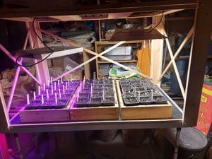 LED Pflanzenlampe Vollspektrum, Hängende Led Grow Lampe 65W 360 LEDs,Blumenlampe  Wachstumslampe für Zimmerpflanzen Gewächshaus Kunden-Foto 1