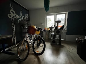 Bergsteiger Makalu 29 Zoll Mountainbike Aluminium, geeignet ab 160 cm, Scheibenbremse, Shimano 21 Gang-Schaltung, Hardtail, Jungen-Fahrrad & Herren-Fahrrad Kunden-Foto 5