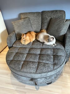 MODFU Multifunktionales Sofa Schlafsofa mit Aufbewahrungs-Hocker,Relaxsofa mit rutschfeste Kunststoffbeine,Rosa Kunden-Foto 1