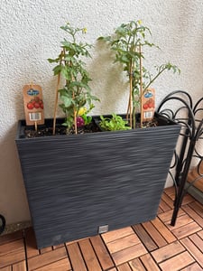 Blumenkasten Furu Kunststoff 58 x 18 x 49,8 cm anthrazit inkl. Pflanzeinsatz Kunden-Foto 8