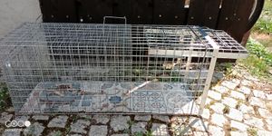 Petigi Tierfalle Lebendfalle für kleine bis mittelgroße Tiere wie Maus, Katze, Marder, Fuchs, Otter, Kaninchen, Modell: , Größe / Modell:Stable 6 (120 x 34 x 42 cm) Kunden-Foto 4
