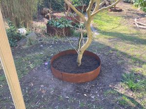 Pflanzring Metallring Stahl Hochbeet 40 cm Pflanzgefäß Pflanzkübel Rost Ring Kunden-Foto 2