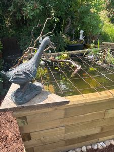 esotec Wasserspeier FROSCH + Solar-Teichpumpe Wasserspiel Gartenfigur 101650 Kunden-Foto 1