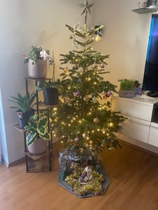 Blumenständer mit Wachstumslicht, 8 Ebenen Blumentreppen, 4 Räder，122cm/126.5cm Hoch Pflanzenständer Metall Blumenregal für Indoor Balkon,Weiß Kunden-Foto 4