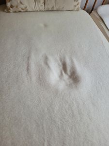 Die Matratze hat im Po Bereich eine richtig große Mulde. Die sich nicht ausgleicht. Das ist unangenehm 