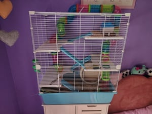 PawHut Kleintierkäfig Nagerkäfig Kleintierstall mit Rampe Laufrad Hellblau+Weiß Kunden-Foto 1