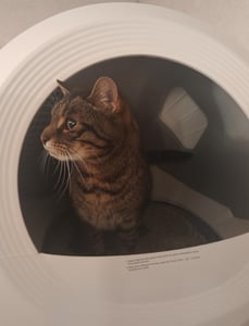 MOVA Geruchsneutralisierer 500 ml für LR10 Prime Katzentoilette, Geruchsentferner für selbstreinigende Katzentoilette Kunden-Foto 1