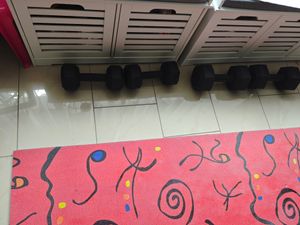 TREX SPORT Kurzhanteln Hanteln Set 2x8kg TX-008CD | Kunststoff Hexagon Dumbbell für Krafttraining | sechseckige Anti-Roll Form, ergonomischer Griff Kunden-Foto 1