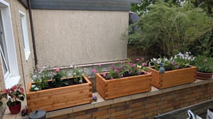 Pflanzkübel Kiefer - Pinie Lasiert 120 x 40 cm Blumenkasten Blumenkübel Hochbeet Kunden-Foto 1