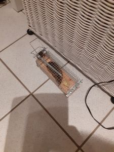 Trappola per topi viva - 4 pezzi - Rispettosa degli animali e riutilizzabile - Realizzata in legnosostenibile - Pronta per l'uso immediato Foto del cliente 3