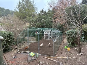 XMTECH Poulailler 3x4m métal Enclos libre Enclos libre, poulailler petits animaux, cadre en acier galvanisé avec toit en PE, rehausse arquée Photo du client 1