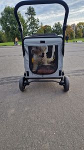 WISFOR Hundebuggy Faltbar, XL Hundewagen für mittelgroße und große Hunde bis 65kg,  Hundeanhänger Hundetasche mit verstellbar Griff Kunden-Foto 4