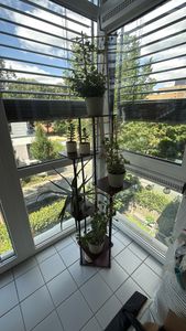 CMYbabee Pflanzenständer, 7 Etagen Hölzern Blumenregal Pflanzenregal, Mehrstöckig Blumenständer Pflanzenständer Blumenbank Blumentreppe Pflanzentreppe Standregal Kunden-Foto 5