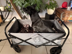 Chariot pliable KESSER® : chariot à main, capacité de charge max. 150 kg, roues en PVC à rotation à 360°, chariot à outils avec 2 filets, une poche latérale et une housse ; chariot de transport, remorque de jardin sans toit Photo du client 1