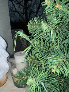 Künstlicher Weihnachtsbaum Narnie in Blumentopf 75cm mit LED Beleuchtung Kunden-Foto 2