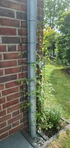 Rankgitter in grün aus Metall für Fallrohre - 200 cm - halbrundes Gitter Pflanzengitter Regenrohr Kunden-Foto 3