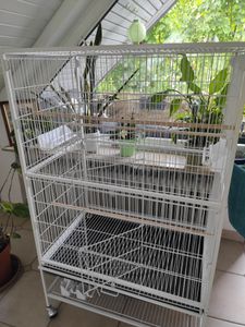Klatka dla ptaków Yaheetech ze stojakiem, woliera dla ptaków z 3 drewnianymi grzędami i 4 miskami do karmienia, klatka dla papużek na 4 kółkach, woliera dla papug, czarna Zdjęcie produktu od klienta nr 5