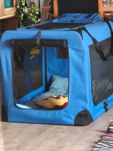 Hundebox Bello XL Navyblau faltbar Autotransportbox Katzen Hunde Box Kunden-Foto 2
