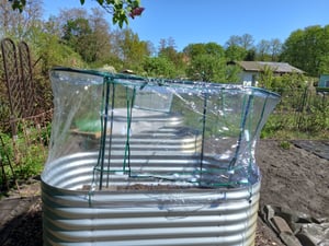 Hochbeetabdeckung L Kunden-Foto 1